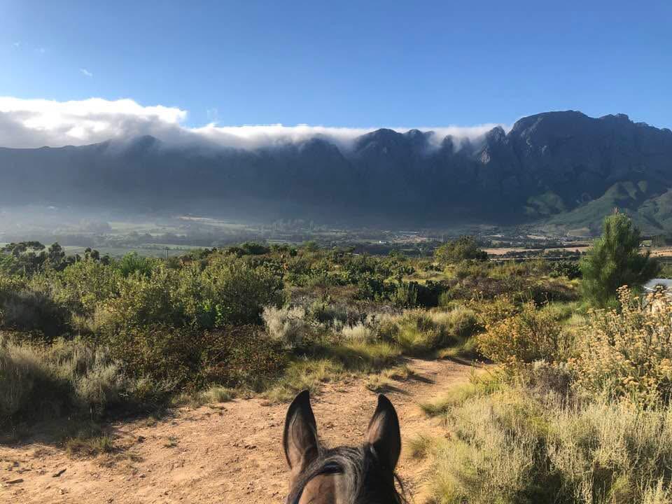 Scenic Hour Ride, Franschhoek Horse Riding