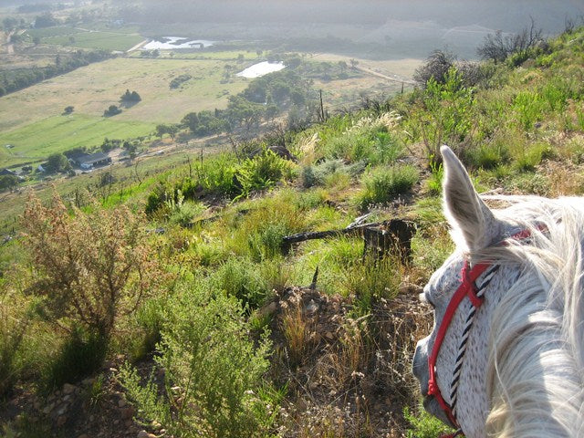 View from the back of a horse looking out over a landscape with greenery and hills, showcasing a first-person perspective of a Scenic ride.