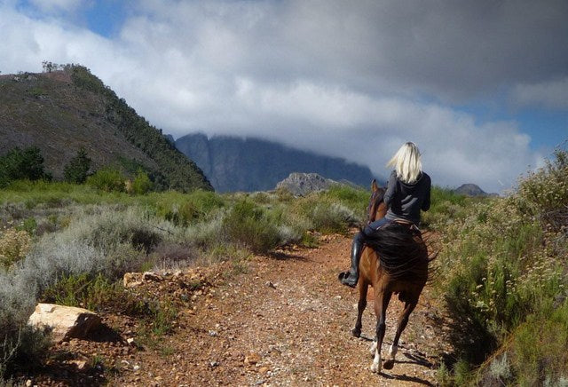Franschhoek Horse Riding
