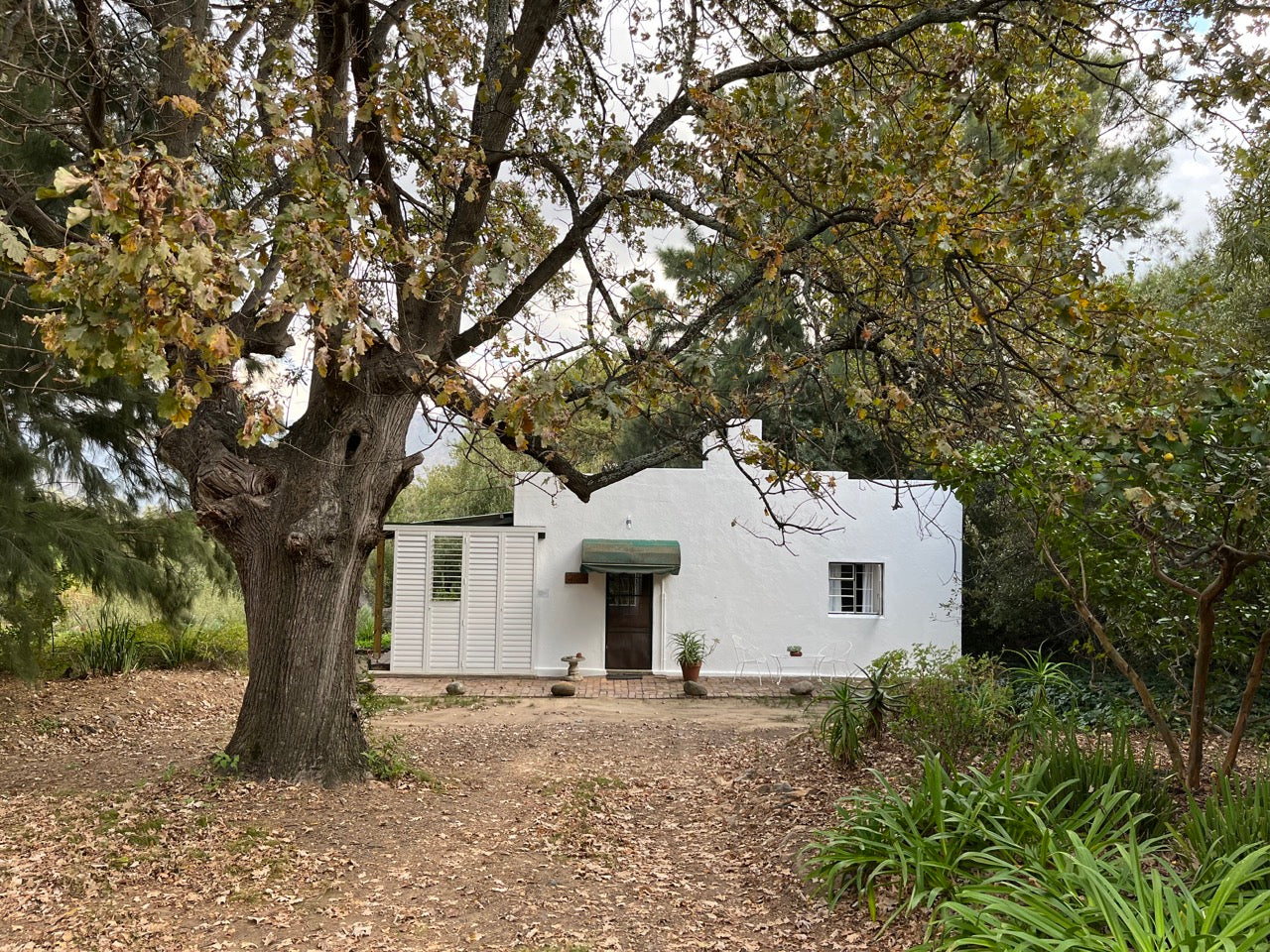 Williams Cottage