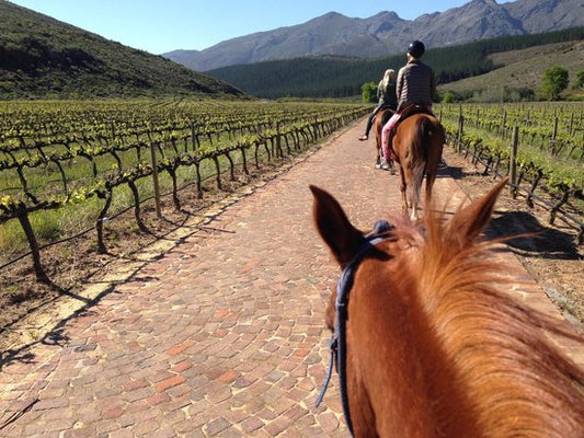 Short Wine Tasting